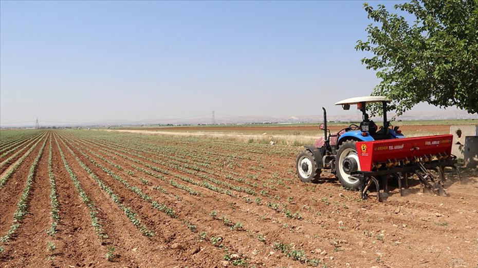 Gübre Tedarikinde Yeni Dönem: Gümrük Vergileri Sıfırlandı