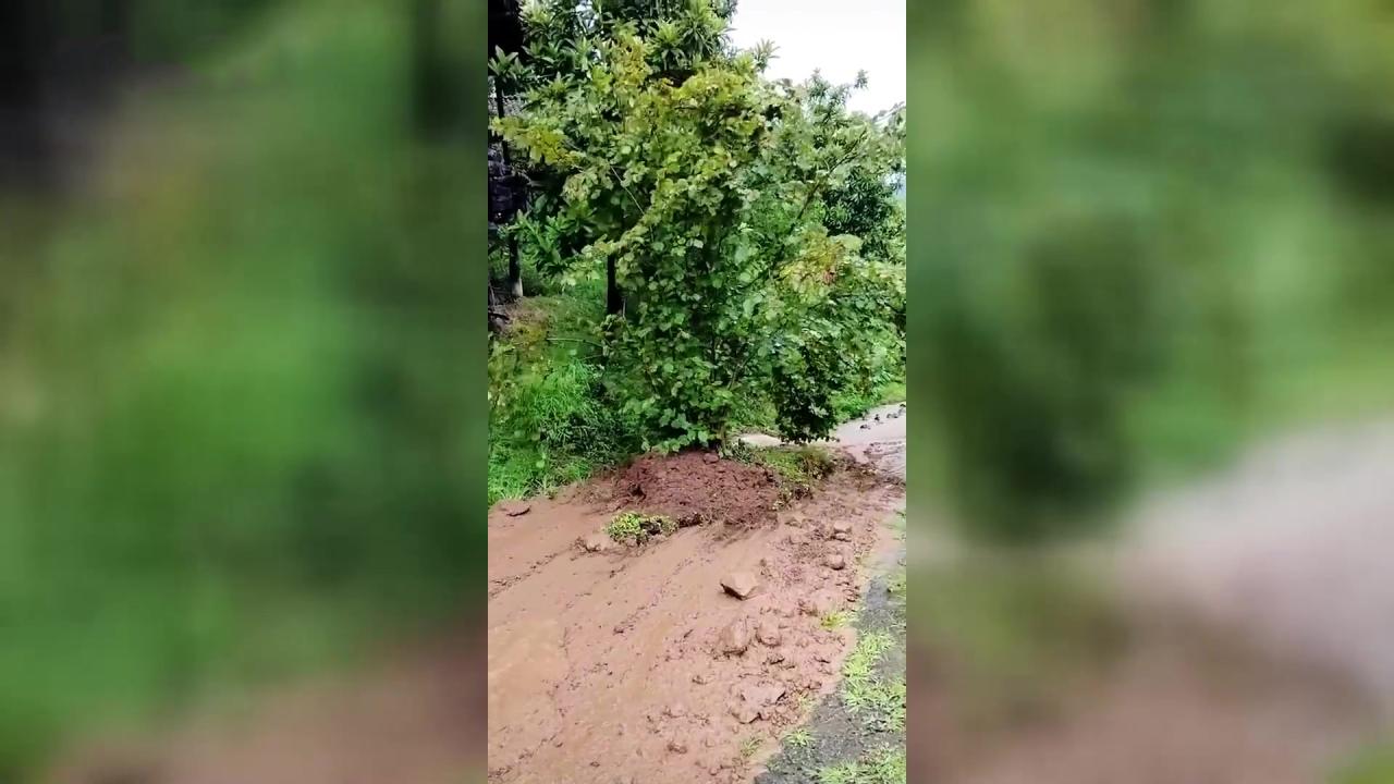 Heyelan fındığı böyle sürükledi