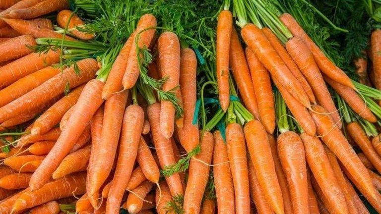 Havucun Besin Değeri: Havuçta Kaç Kalori Vardır?