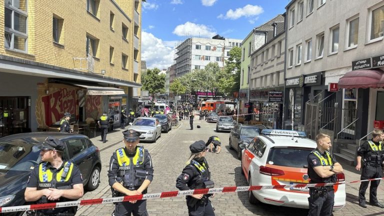 Almanya'da oynanan Hollanda-Polonya maçına birkaç saat kala elinde balta bulunan saldırgan nedeniyle panik: Polis etkisiz hale getirdi
