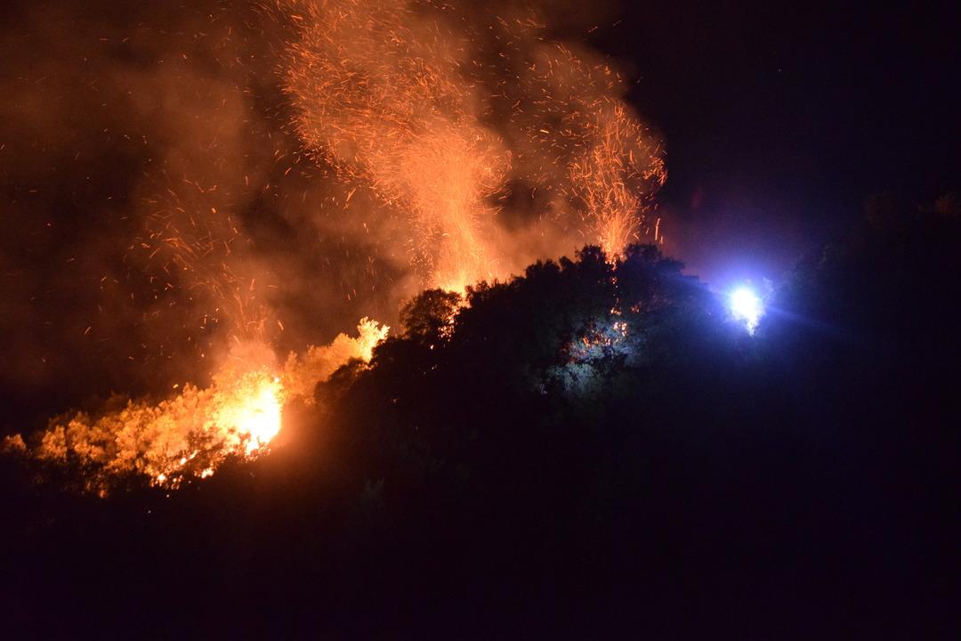 Orman yangınlarında son durum: Bursa, Karabuk ve Kahramanmaraş ... alevlere karşı mücadele devam ediyor 2