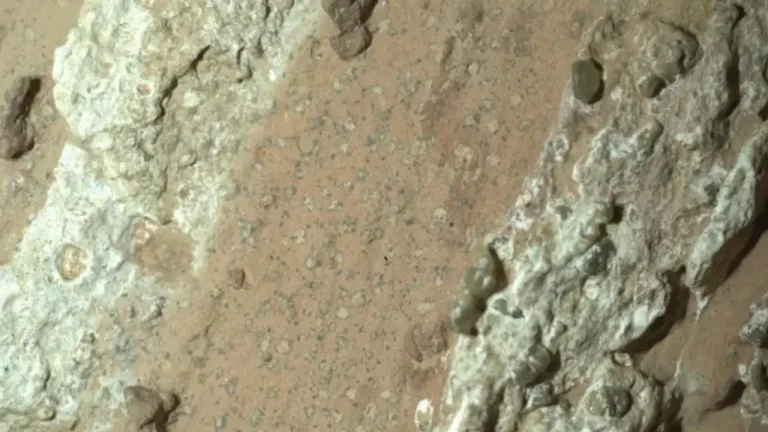 Mars’ın ‘leopar desenli’ kayalarında geçmiş yaşamın izleri bulunmuş olabilir – Son Dakika Bilim Teknoloji Haberleri