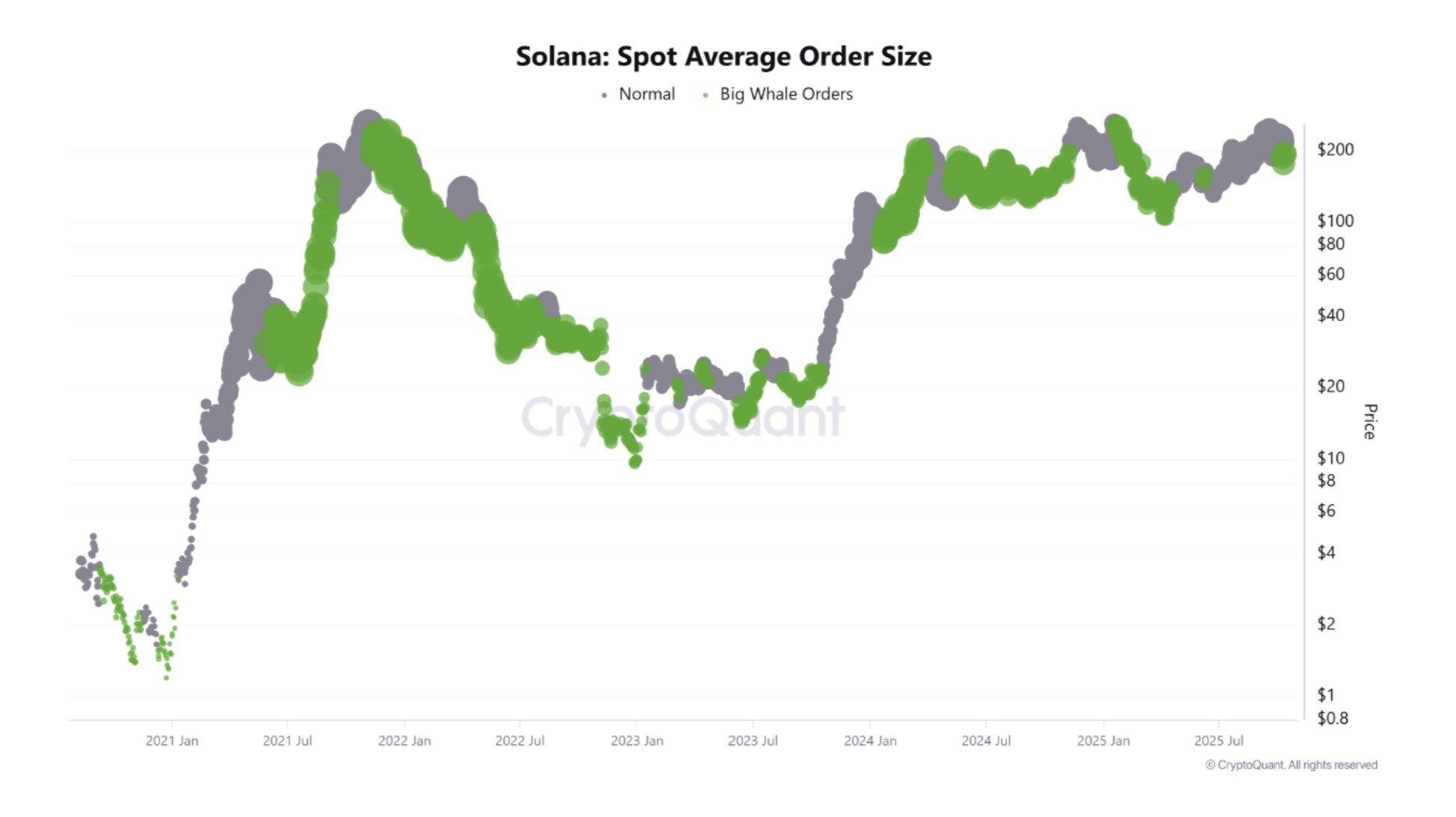 Kripto Paralar, Teknoloji, Piyasalar, Kripto Para Borsası, Fiyat Analizi, Piyasa Analizi, Altcoin İzleme, Solana