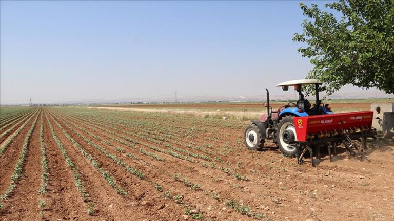 Gübre Tedarikinde Yeni Dönem: Gümrük Vergileri Sıfırlandı