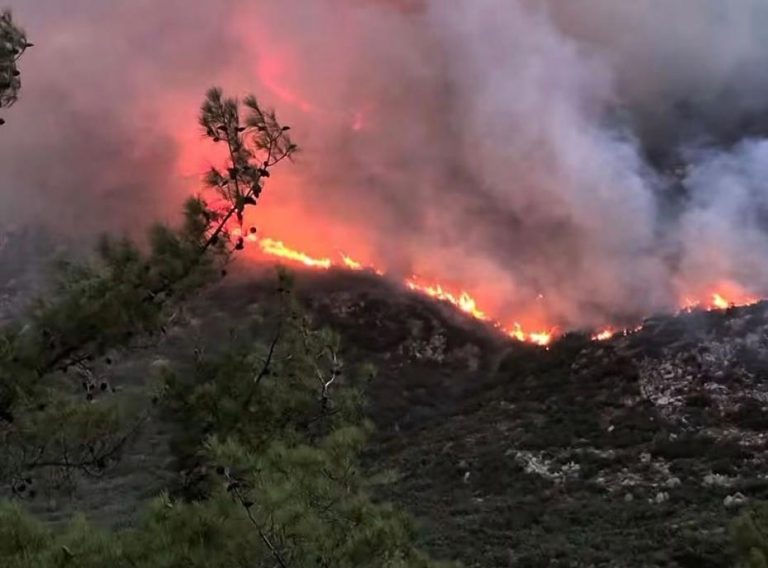 Antalya Kaş’ta Orman Yangını Kontrol Altına Alınmaya Çalışılıyor